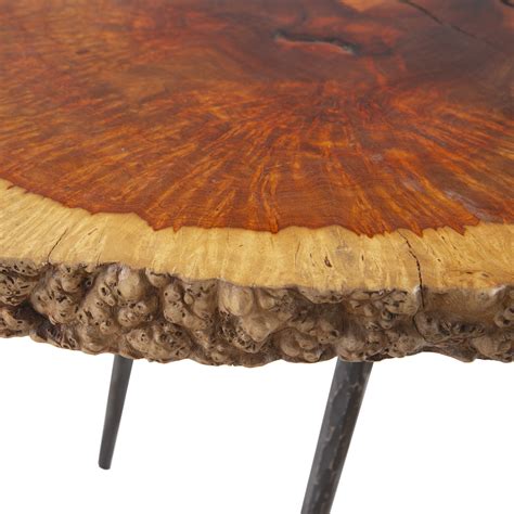 Burled Wood Coffee Table v.1 - Phillips Collection - Touch of Modern