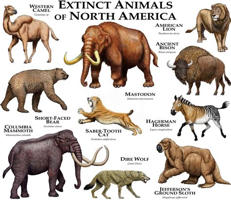 Extinct Animals List In The World