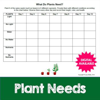 Plant Growth Chart Template