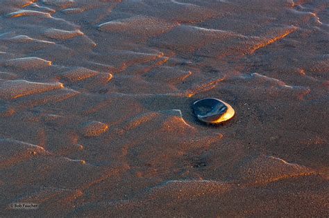 Mud Flats Highlights | Alaska | Robert Faucher Photography