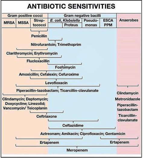 Antibiotic reconstitution charts