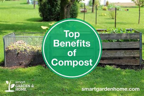 Top 17 Benefits Of Compost - Smart Garden And Home