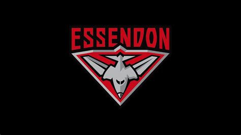 2020 AFL preview: Essendon Bombers team guide | finder.com.au