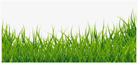 Grass Border Clipart Png - Grass Clipart Transparent PNG - 2962x1274 ...