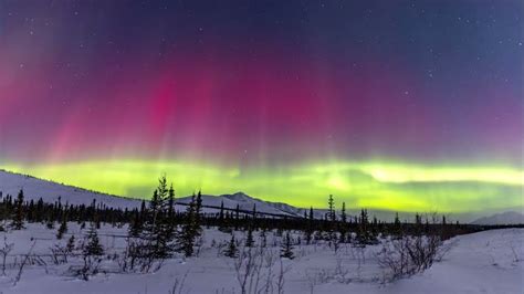 Breathtaking Footage of the Northern Lights Over Alaska