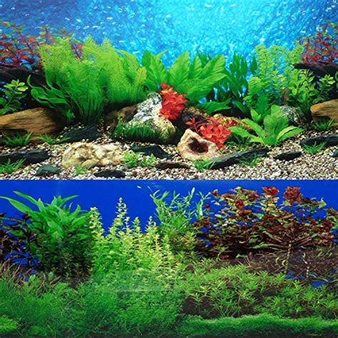 10 Best Aquarium Backgrounds Reviewed For 2024