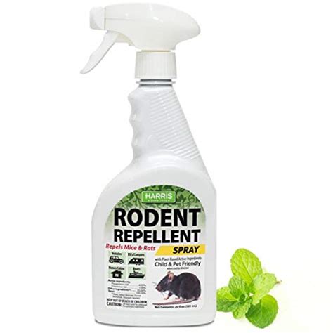 10 Best Rodent Spray Repellent -Reviews, Ratings & Comparison – Cchit.org