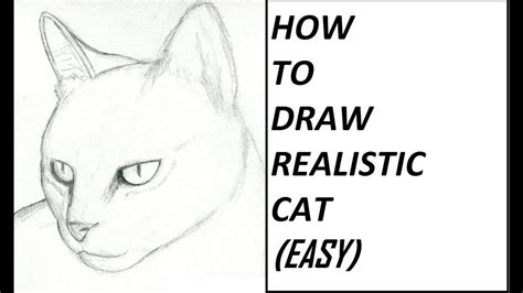 How To Draw A Real Life Cat