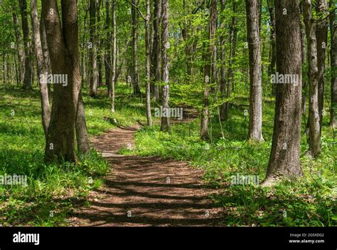 Hopewell Culture National Historical Park Stock Photo - Alamy