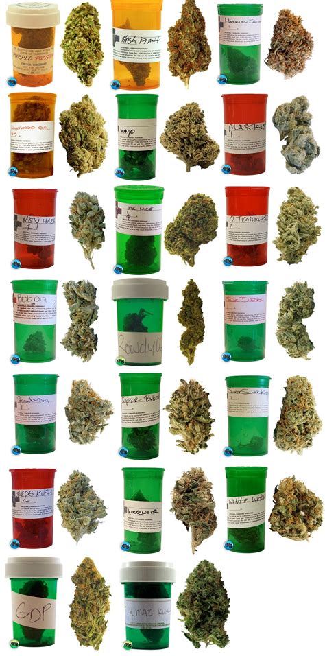 Different Types Of Weed Chart