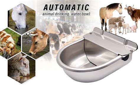 Amazon.com: HHNIULI 2 PCS Automatic Cattles Water Bowl Drinking Water Trough Dispenser Dogs ...