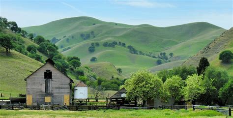 4 Contra Costa County Parks to Visit in Spring | Via