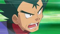 Koga | Pokémon Wiki | Fandom