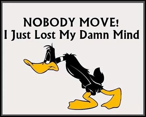 Top 60 Funny Memes And Hilarious Sayings | Funny quotes, Daffy duck quotes, Funny memes