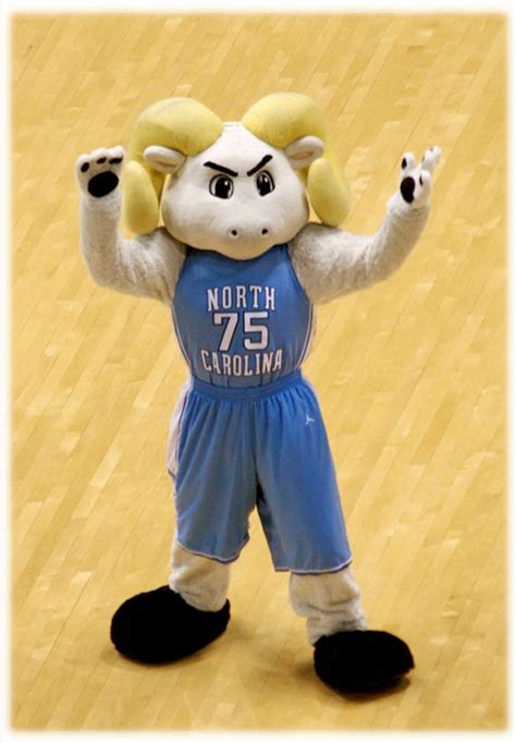 Items similar to Basketball Rameses, UNC Chapel Hill Tar Heels Mascot ...