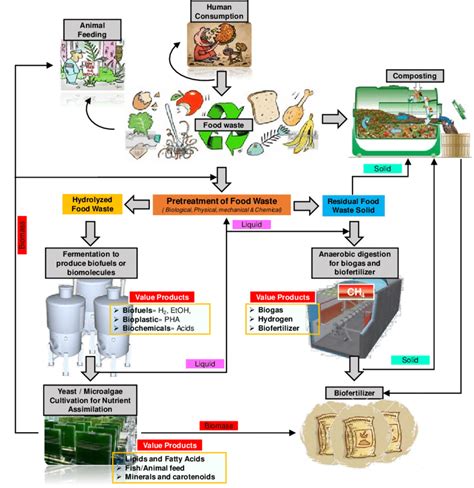 Conceptualized food waste biorefinery to produce value added products ...