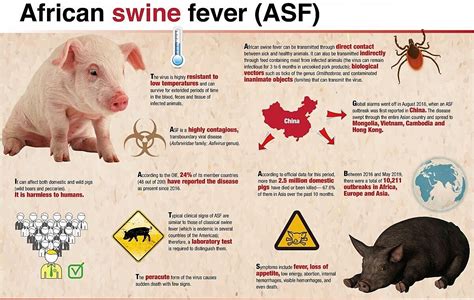 Recently, Thailand has detected African Swine Fever in a surface swab ...