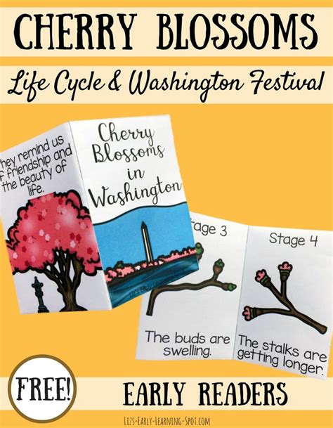 Cherry Blossom Life Cycle and Washington Cherry Blossom Festival | Liz's Early Learning Spot