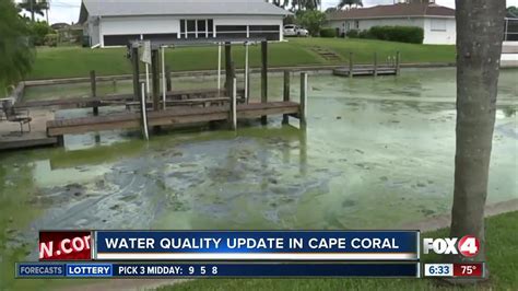 Water quality update in Cape Coral