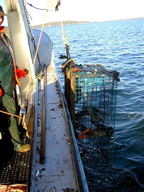 Living in New Brunswick: Lobster Fishing