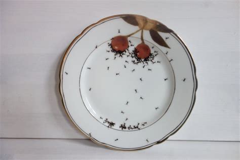 Hand-Painted Ants on Vintage Porcelain Plates by La Philiearthaus