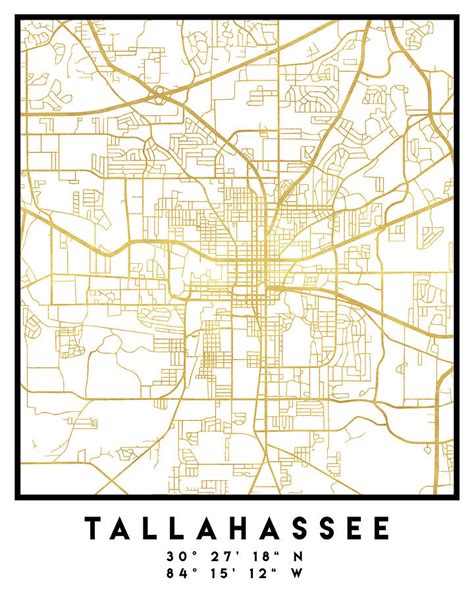 Tallahassee Road Map