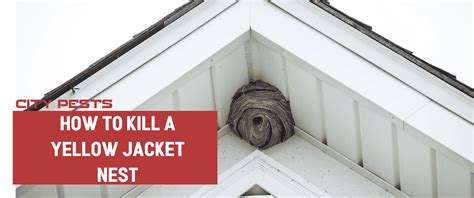 How to Kill a Yellow Jacket Nest: Effective Methods and Safety Tips