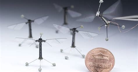 Robo-bugs are here! World's smallest bot takes flight