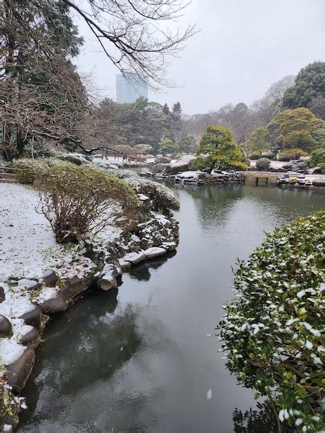 Premium Photo | Park shinjuku gyoen on winter