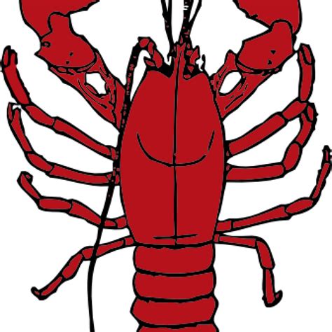 Lobster clipart clip art, Lobster clip art Transparent FREE for ...