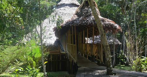 Top 10 things you need to know before you try ayahuasca retreat - my travelove