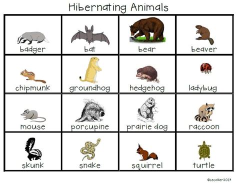 animals in winter BINGO pdf | Animals that hibernate, Hibernating ...