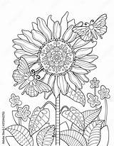 Coloring Page Of Sunflower A Bright And Cheerful Activity For All Ages sketch template
