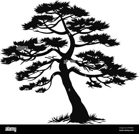 tree pine silhouette tattoo, logo cypress tree evergreen, cedar forest ...