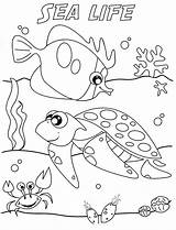 Printable Under The Sea Coloring Pages sketch template