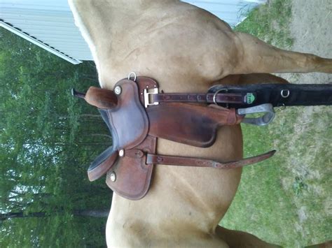 Saddle fit opinion | The Horse Forum