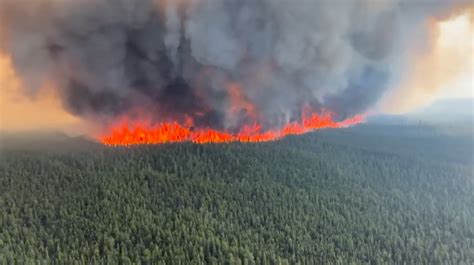 Canadian Wildfires Blamed on Climate Change – But Fire Numbers Are at ...