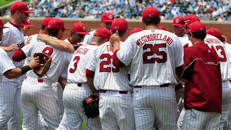 SEC Baseball Roundup: Loads of Losses, But South Carolina Sweeps ...