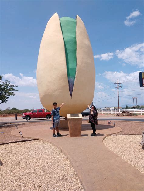 A Tale of Two Pistachio Farms – Stephwaxpoetic