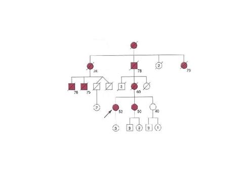 Clinical Genetics I Objectives Lecture 23 Know HOW