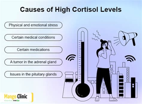 Anxiety and Cortisol Levels: Are They Linked? – Mango Clinic