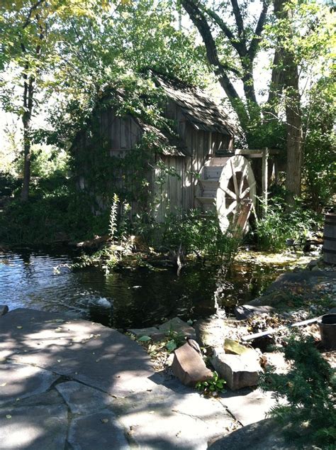 Old mill pond. | Pond, Plants, Photography