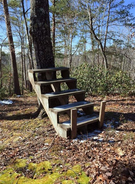 10+ Mysterious Random Staircases in the Woods From Reddit