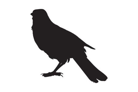 Black Bird Silhouette Graphic by Illustrately · Creative Fabrica