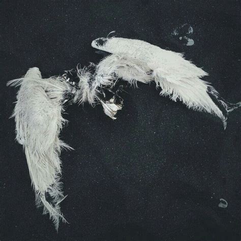 View 6 Fallen Angel Aesthetic - aboutdesignafraids