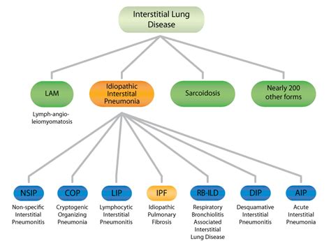 Interstitial Lung Disease - Arizona Lung Sleep Valley Fever Institute