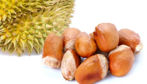 Nama Isi/Biji Buah Durian Dalam Bahasa Jawa ~ NamaJawa