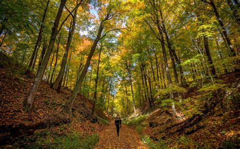 Hamilton Hiking Trails: Your Guide to the Best Hikes in Hamilton » I've ...