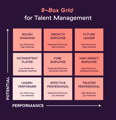 9 Box Grid: What It Is & How to Use It For Hiring • Toggl Hire