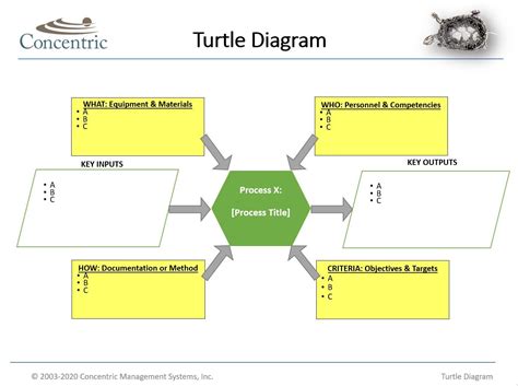 Instructions For Creating A Turtle Diagram | Concentric Global